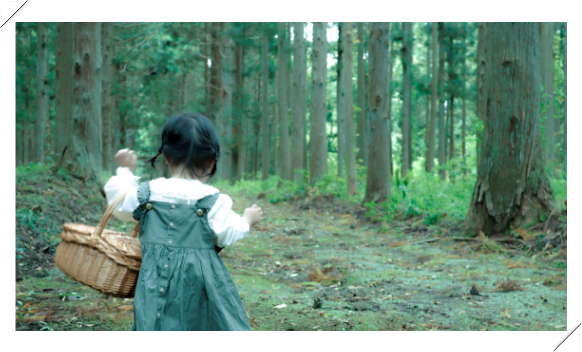 WB HOUSE イメージ写真