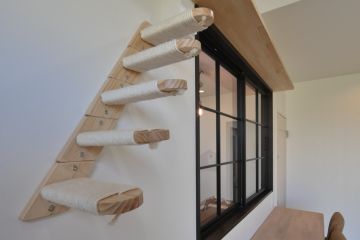 2025-03/0036-min